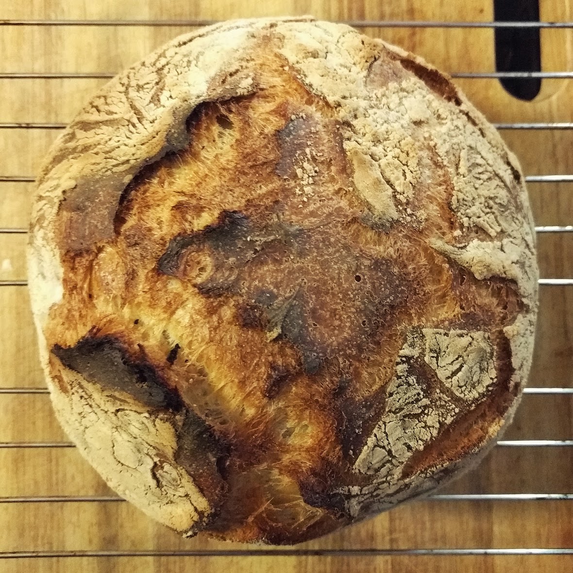 Photo of No-Knead Bread